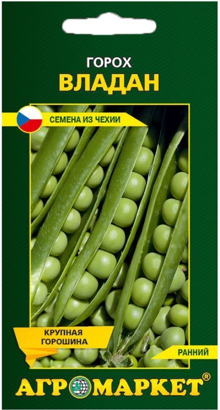 Горох Владан, 10г (Чехия)