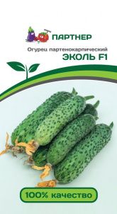 Огурец ЭКОЛЬ F1 (5шт) (Россия)