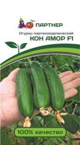 Огурец КОН АМОР F1 (5шт) (Россия)