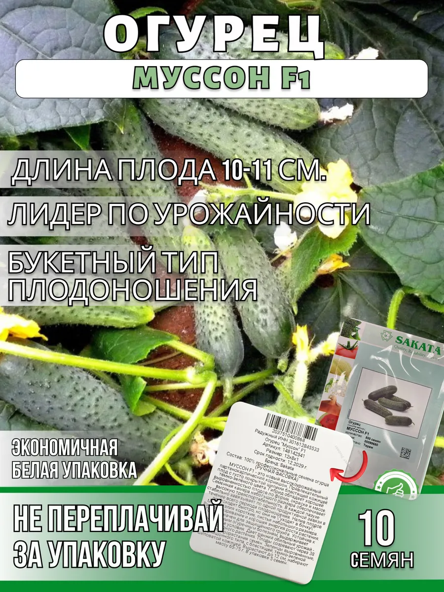 Огурец Муссон F1 (Китай)
