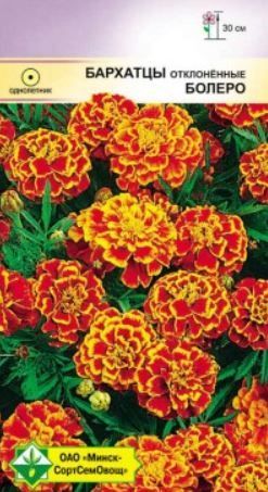 Бархатцы откл Болеро 0.5г (Германия)