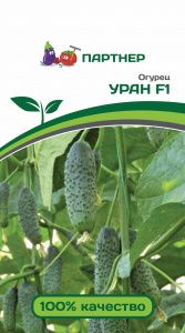 Огурец УРАН F1 (5шт) (Россия)