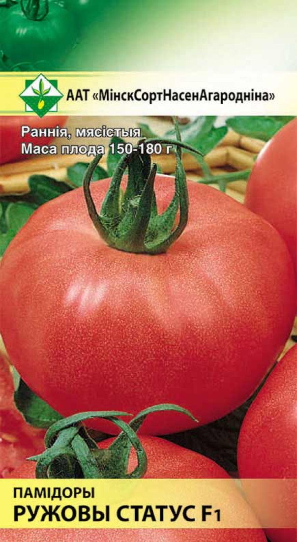 Как подвязать помидоры в теплице из поликарбоната — способы подвязки кистей