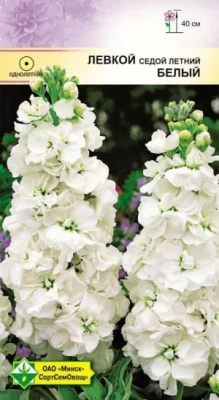 Левкой седой Белый 0.15г (Беларусь)