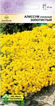Алиссум скальный Золотистый 0.15г (Германия)