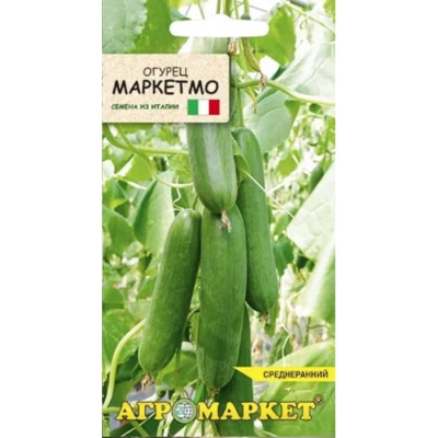 Огурец Маркетмо F1 (Италия)
