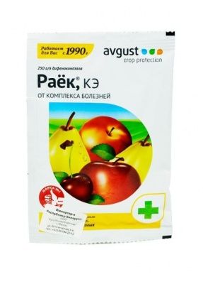 Раек 2мл Купить | Практик