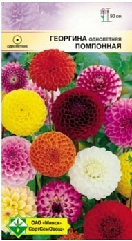 Георгина однолетняя Помпонная см 0.3г (Германия)