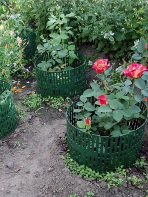 Защитно-декоративное ограждение (Россия)