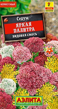 Седум Яркая палитра,смесь семена (Россия)
