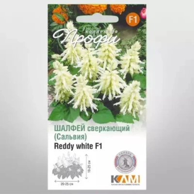 Шалфей блестящий Редди Уайт F1 (Италия)