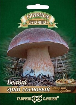 Белый гриб сосновый 60мл (Россия)