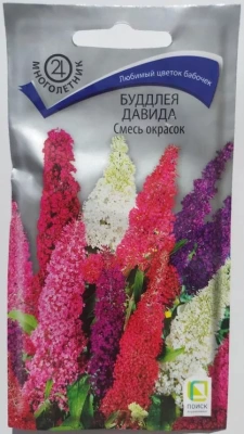 Буддлея Давида Смесь окрасок (ЦВ) 10шт (Россия)