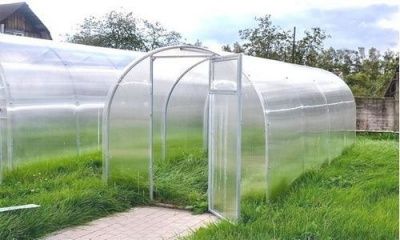 Каркас теплицы Садовод Мини (4х1,65х1,7м) 20*20 шаг 1м. 0,6мм (Беларусь)