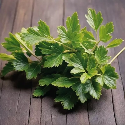 Петрушка листовая Топит 2 г (Нидерланды)