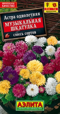 Астра Музыкальная шкатулка смесь семян (Нидерланды)