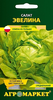 Салат кочанный «Эвелина», 1 г (Польша)