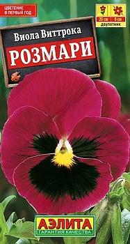 Виола Розмари (Нидерланды)