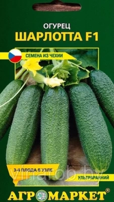 Огурец Шарлотта F1 10шт (Чехия)