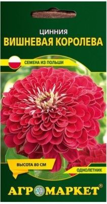 Цинния Вишневая королева 1 г Купить | Практик