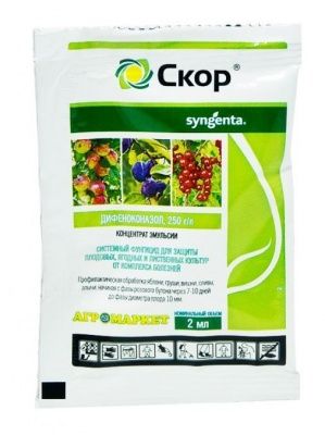 Скор КЭ фунгицид 2 мл Купить | Практик