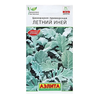 Цинерария Летний Иней 0,05г (Россия)