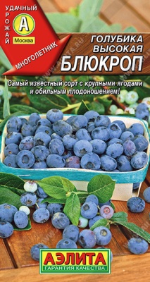 Голубика Блюкроп высокая семена (Россия) Голубика Блюкроп высокая семена (Россия)