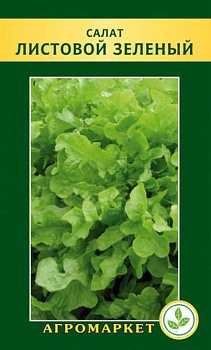 Салат Листовой зеленый (Польша)