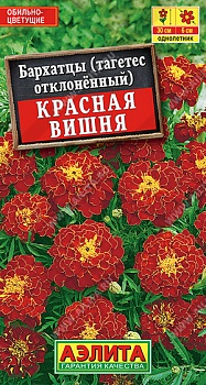 Бархатцы Красная вишня семена (Россия)