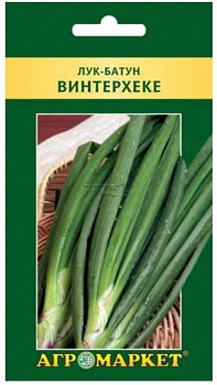 Лук-батун Винтерхеке, 0,5 г (Австрия)