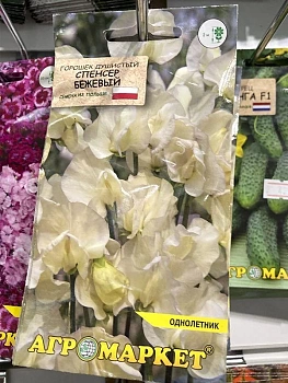 Горошек душистый Спенсер бежевый 1г (Польша)