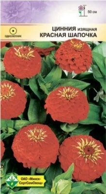 Цинния изящная Лилипутовая Красная шапочка 0.5г (Германия)