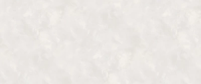 Обои винил на флизелиновой основе Victoria Stenova Babochka 281802 1,06*10,05м (Россия)