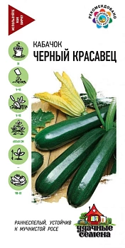 Кабачок Черный красавец 2г Удачные семена (Россия)
