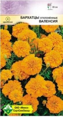 Бархатцы откл Валенсия 0.5г Купить | Практик