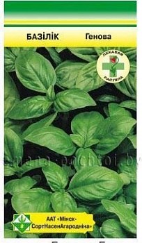 Базилик Генова зеленый 0.5г (Германия)