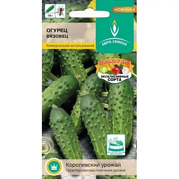 Огурец Вязовец  0,5гр среднеранний пчелоопыляемый хорош для засолки (Россия)