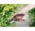 Секатор плоскостной 21см STARTUL GARDEN (Китай)