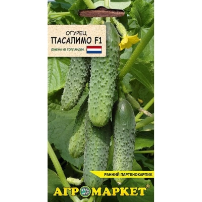 Огурец Пасалимо F1 (Нидерланды)