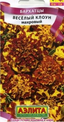 Бархатцы Веcелый клоун отклоненные семена Купить | Практик