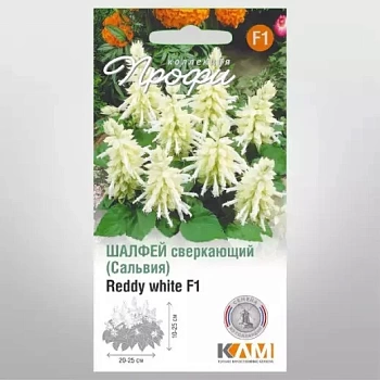 Шалфей блестящий Редди Уайт F1 (Италия)