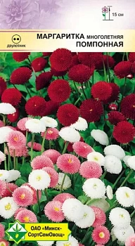 Маргаритка многолетняя Помпонная см 0.05г (Беларусь)