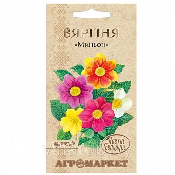 Георгина Миньон  0.5г (Беларусь)