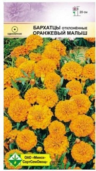 Бархатцы отклоненные Оранжевый малыш 0.3г (Германия)