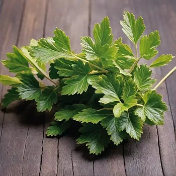 Петрушка листовая Топит 2 г (Нидерланды)