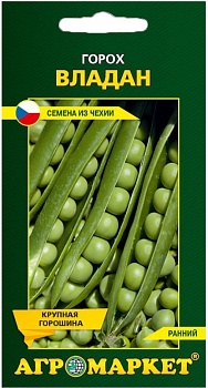 Горох Владан, 10г (Чехия)