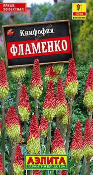 Книфофия ягодная Фламенко семена (Россия)