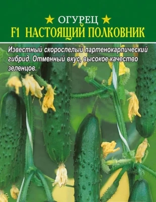 Огурец Настоящий полковник ЛЮКС 0.25 гр (Россия)