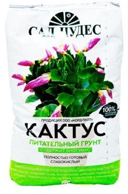 Цветочный почвогрунт кактус 2,5л Купить | Практик