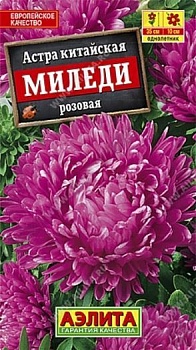 Астра Миледи розовая семена (Нидерланды)